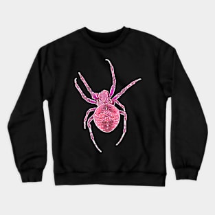 Pink Spider Orb-Weaver Watercolor Style Crewneck Sweatshirt